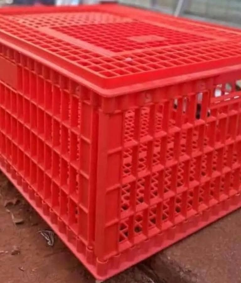 Chicken Transfers crates